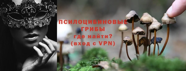PSILOCYBIN Лиски