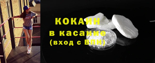 индика Одинцово