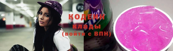 индика Майский