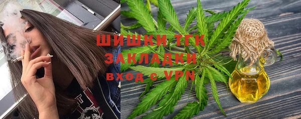 PSILOCYBIN Лиски