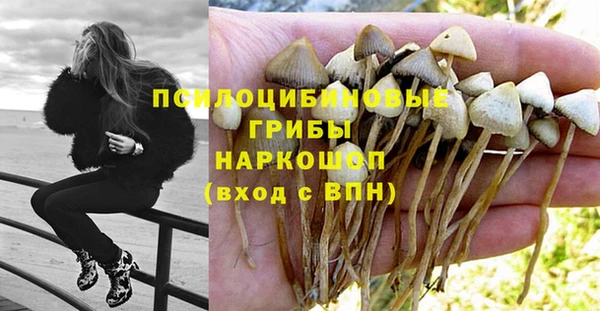 индика Майский