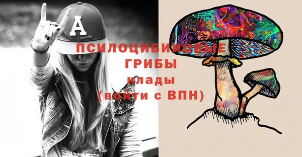 PSILOCYBIN Лиски