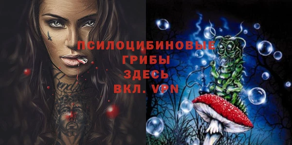 PSILOCYBIN Лиски