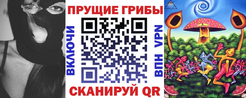 Псилоцибиновые грибы мицелий  площадка состав  Щёлкино  закладки  кракен онион 